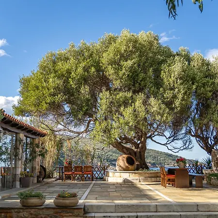 St George's House アパート ポティスティカ