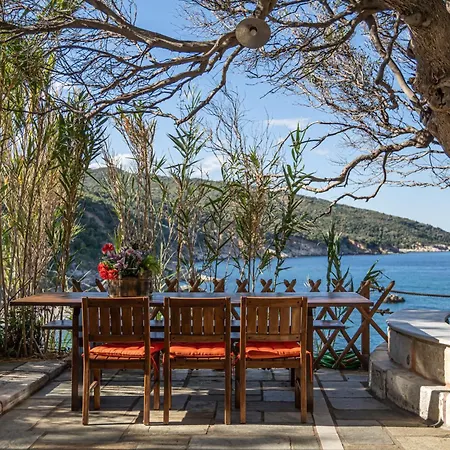 St George's House Potistika